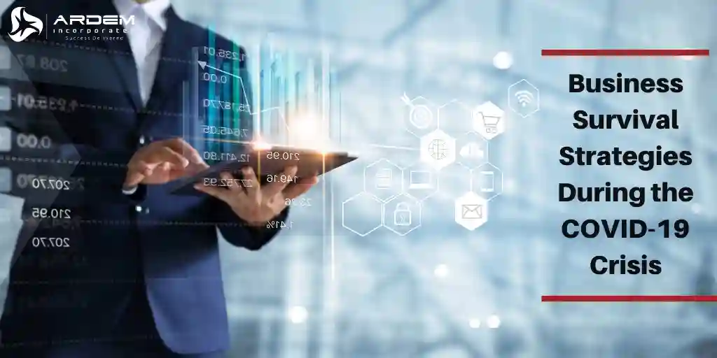 Business Survival Strategies During the COVID-19 Crisis
