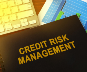 Most financial institutions will find themselves struggling with credit risk management this year. 