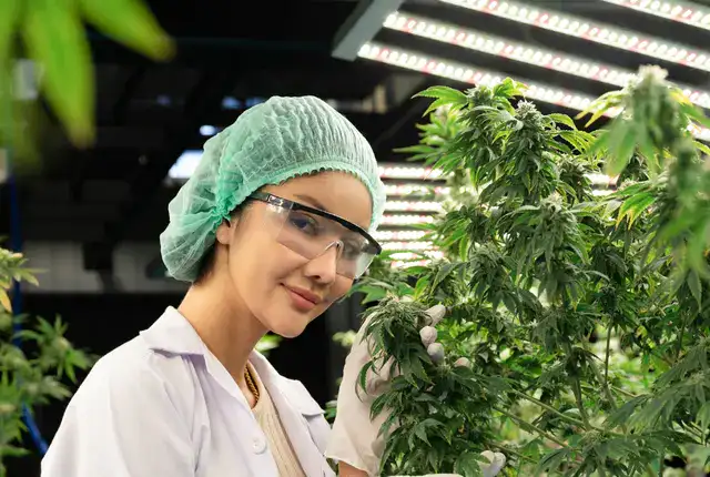 Centralizing Utility Bill Management for a Medical Cannabis Company: From Disruption to Control with ARDEM